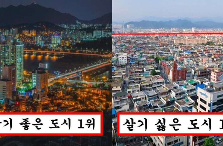 한국에서 살기 좋아서 부자들이 선호하는 지역 top30과 싫어하는 지역 top30